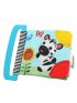 Curious Explorers Teether Book