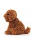 Dapper Dog Cooper Labradoodle Pup 11