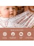 Evolution Wrap Baby Carrier by Petunia Pickle Bottom - Woodgrain