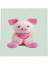Harper the Pig