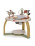 5-in-1 Here I Grow Activity Center - Boho Chic