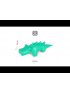 Musical Animal - Achille the Crocodile