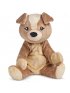 Charlie the Puppy