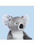 Quinn The Koala