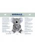 Quinn The Koala