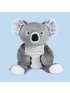 Quinn The Koala