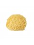 Natural Sea Sponge 4 - 4.5