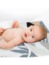 Percale Dream Change Pad Cover - Palm Breeze