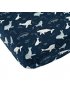 Crib Sheet - Blue Whales