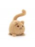 Kitten Caboodle Ginger
