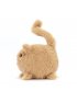 Kitten Caboodle Ginger