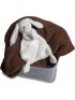 Silky Bunny Lovey - White - 13 inch