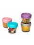 Glass Food Container 4oz - 6 Piece Set