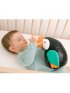 Musical Animal - Jean the Toucan