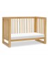 Nantucket 3-in-1 Convertible Crib with Toddler Kit - Honey