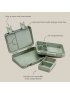 Bento Lunch Box - Dino Ville