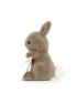 Messenger Bunny