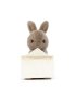 Messenger Bunny