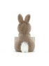 Messenger Bunny