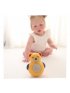 Roly Poly Teddy Bear