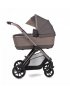 Reef Bassinet - Earth