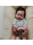 Organic Infant Lounger Cover - Honey
