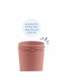 No Spill/Straw Cup Base - Desert
