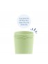 No Spill/Straw Cup Base - Leaf