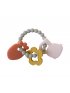 Teething Charms - Lion
