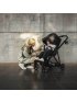 Shine Full Size Stroller with Silver Frame - Mallard Green