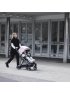 Shine Full Size Stroller with Silver Frame - Mallard Green