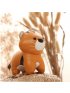 Tiny Friends (Rattle) - Tim the Tiger