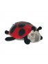 Twilight Ladybug