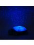Twilight Turtle - Blue
