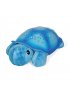 Twilight Turtle - Blue