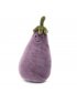 Vivacious Vegetable - Egg Plant