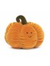 Vivacious Vegetable  - Pumpin