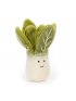 Vivacious Vegetable Bok Choy