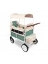 VW Edition Quad Stroller - Sage Green