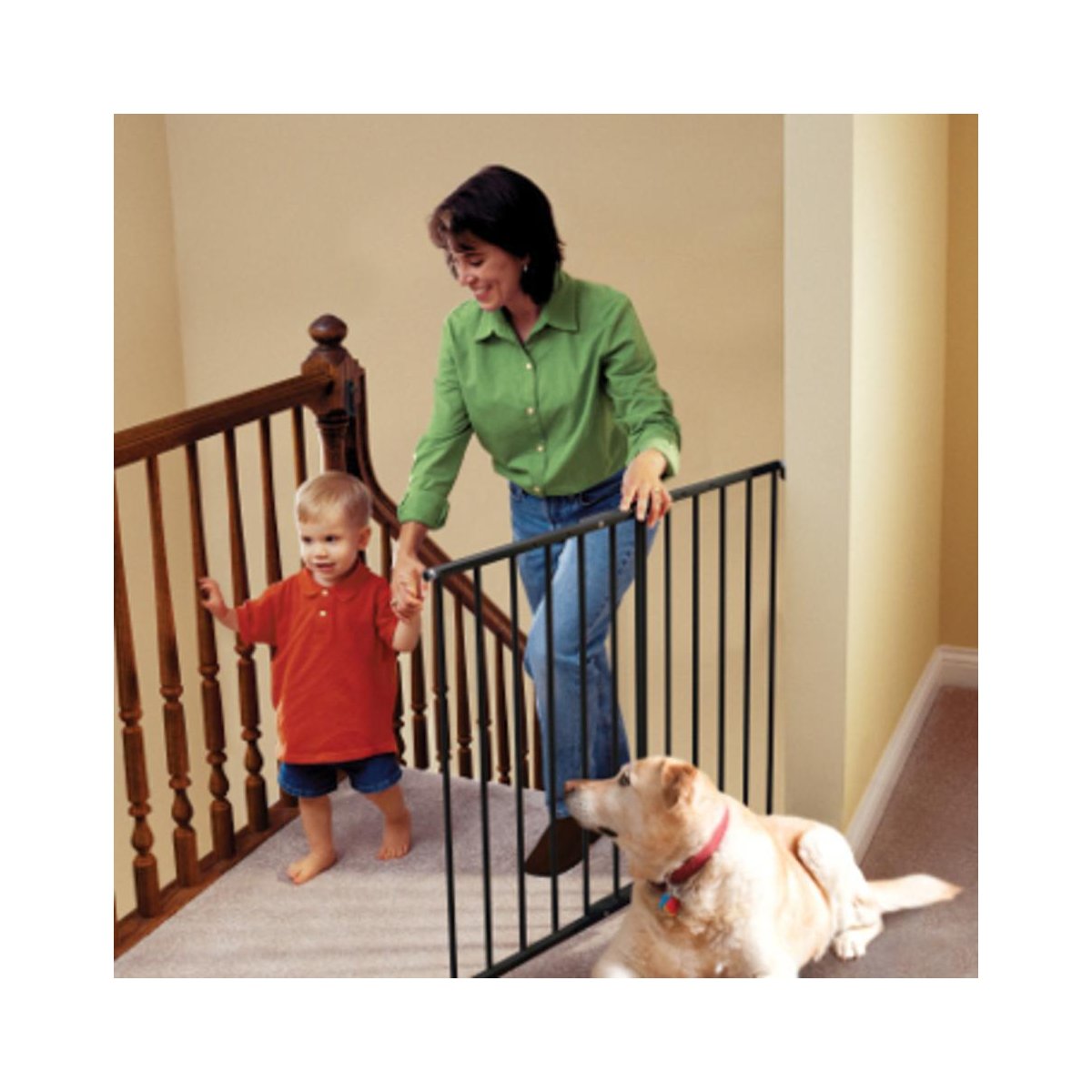 Safeway Hardware Mount Gate - Black