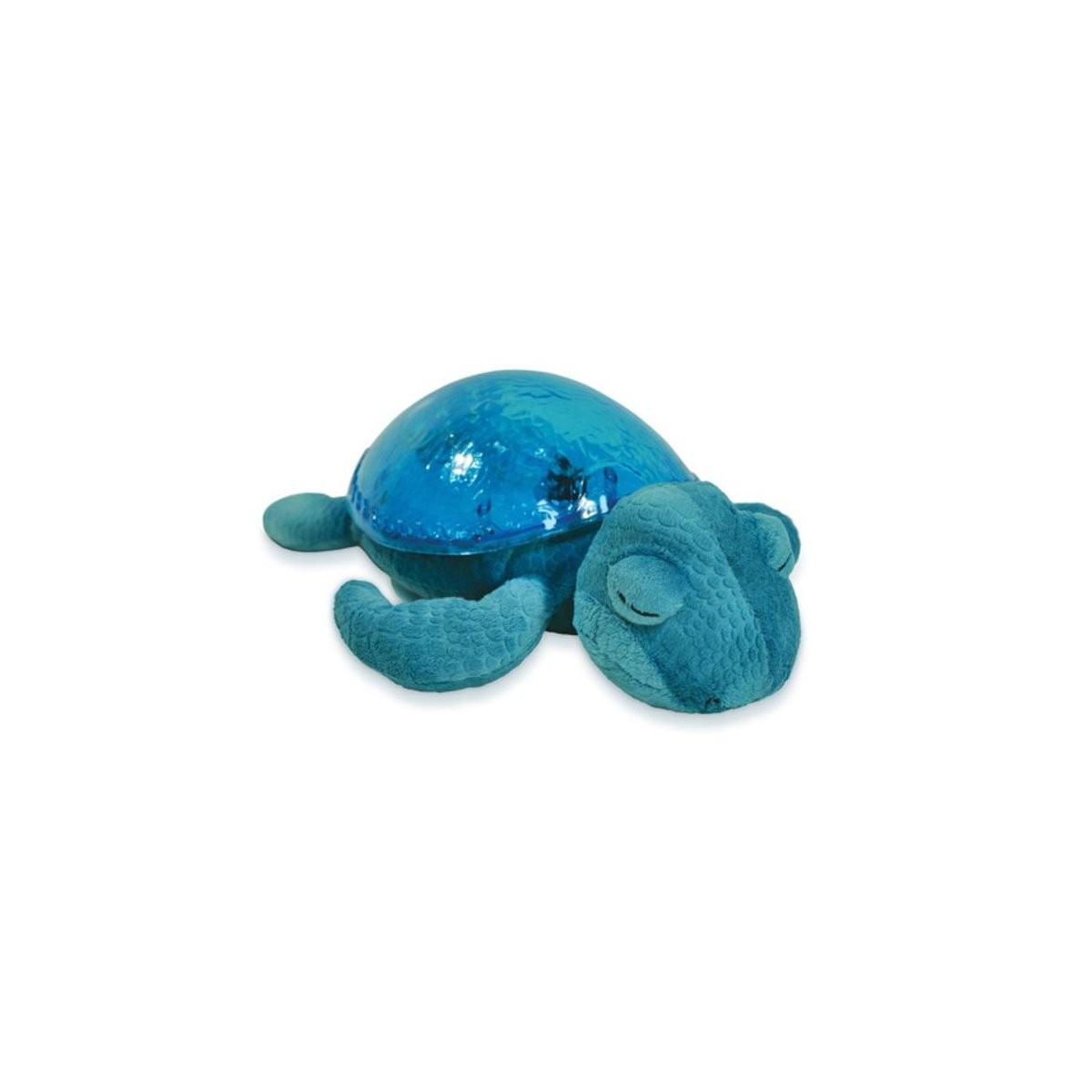 Tranquil Turtle - Aqua