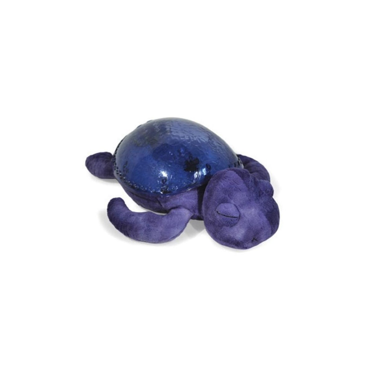 Tranquil Turtle - Ocean