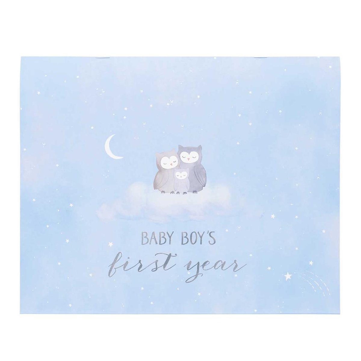 Babys First Year Calendar Wish Upon A Star