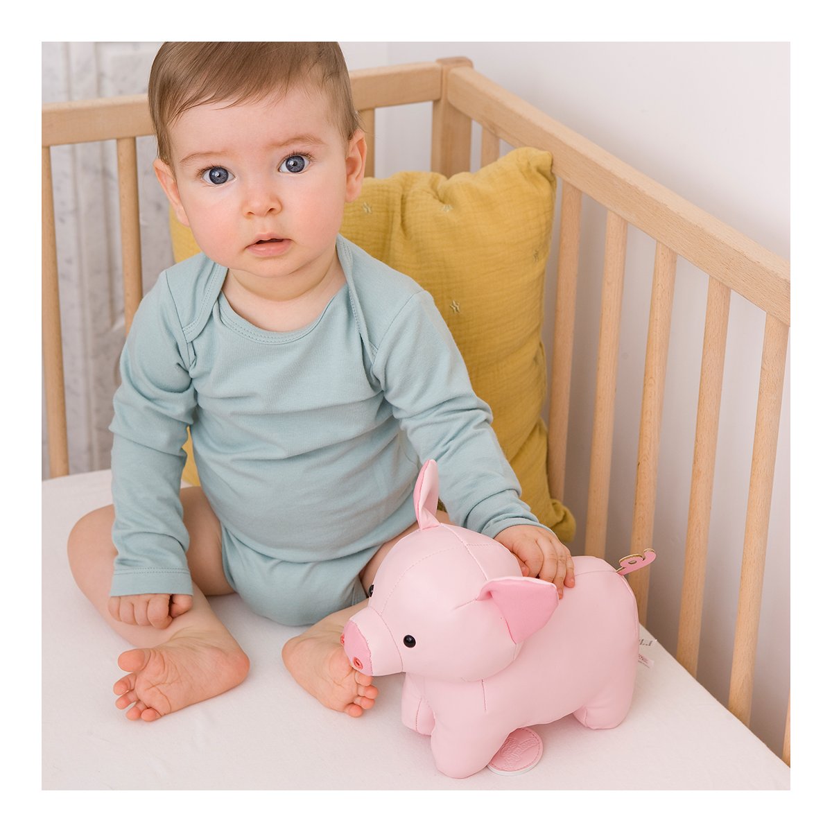 Musical Animal - Leon The Pig