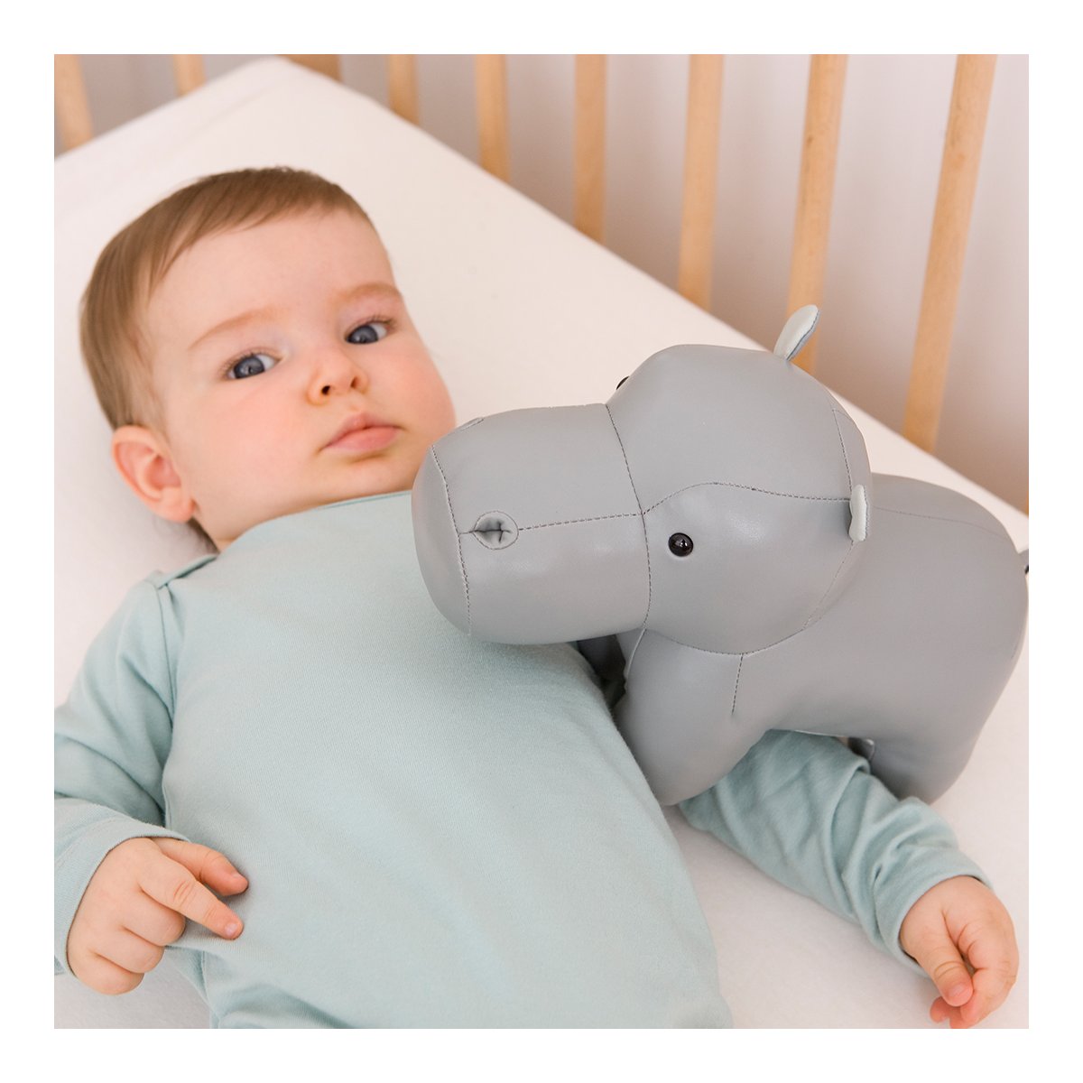 Musical Animal - Sam The Hippo