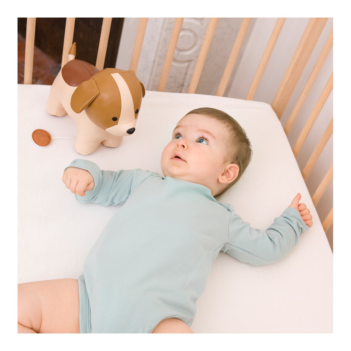 Musical Animal - Adrien The Dog