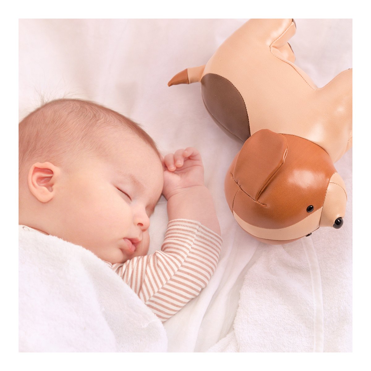 Musical Animal - Adrien The Dog