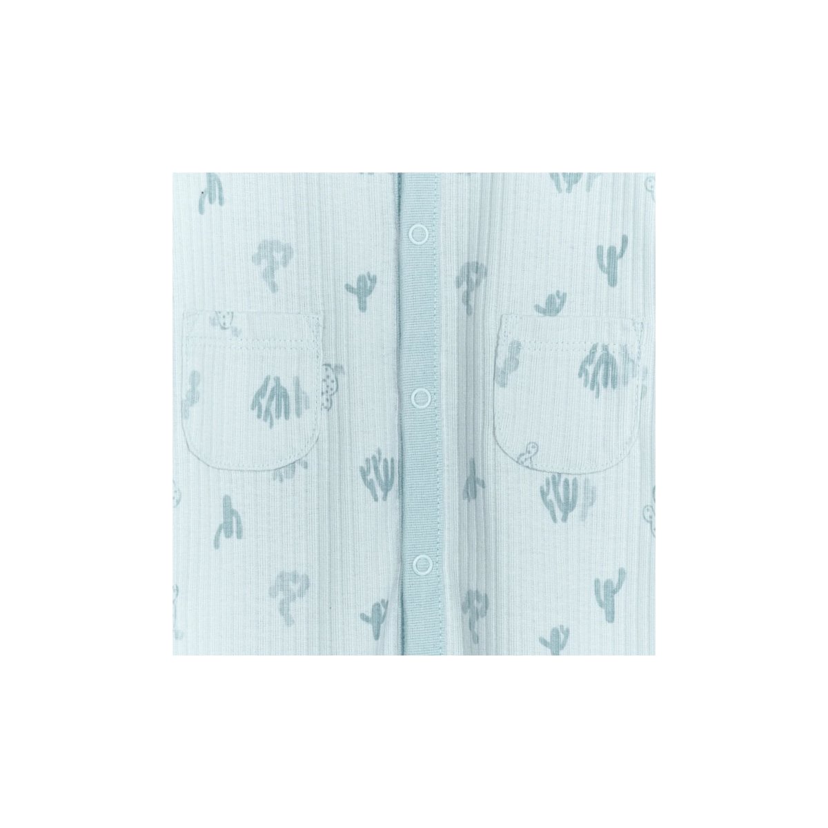 Sleep N Play - Desert Cactus