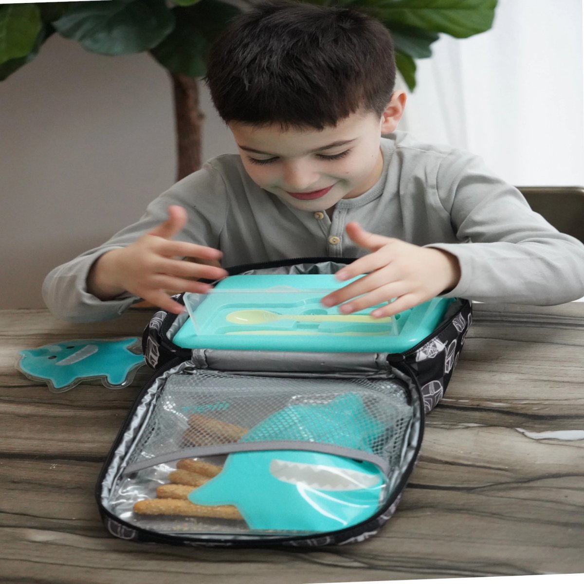 2 Tier Bento - Blue, Mint, Lime