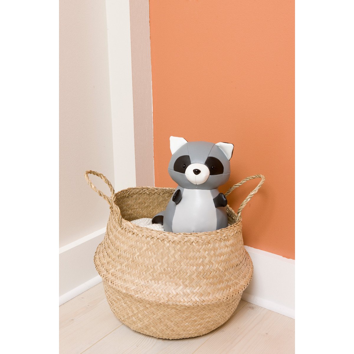 Musical Animals - Denver the Racoon